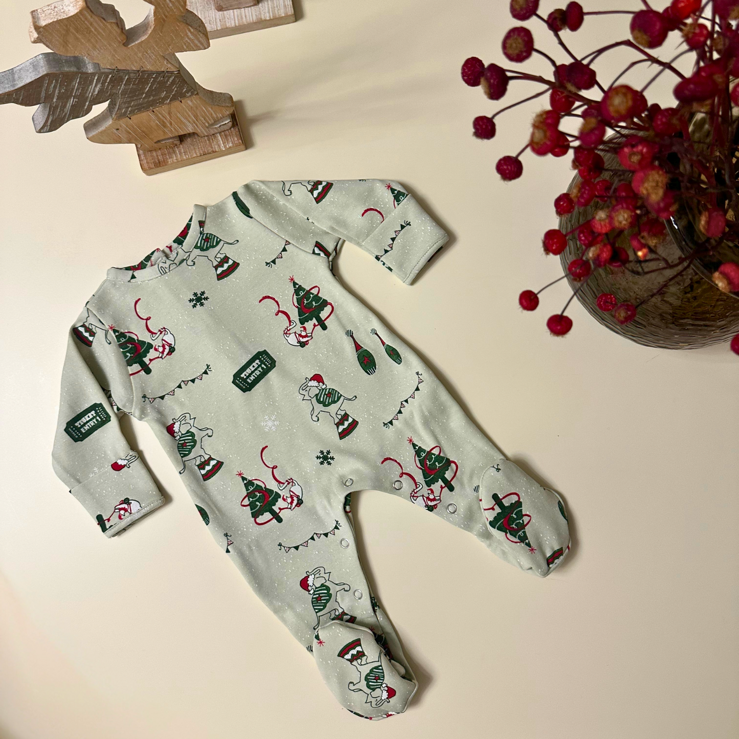 Winter Wish Baby Sleepsuit – Christmas Green